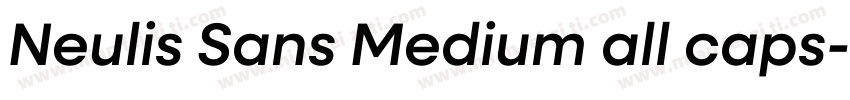 Neulis Sans Medium all caps字体转换